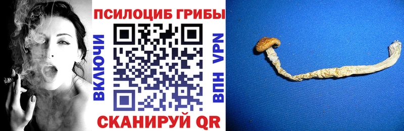 Псилоцибиновые грибы GOLDEN TEACHER  нарко площадка клад  Первомайск 